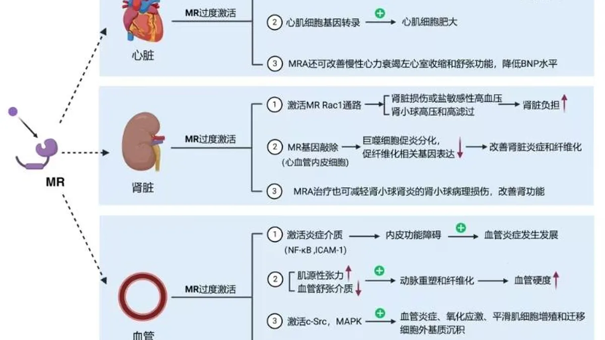 非奈利酮仿制药药盒