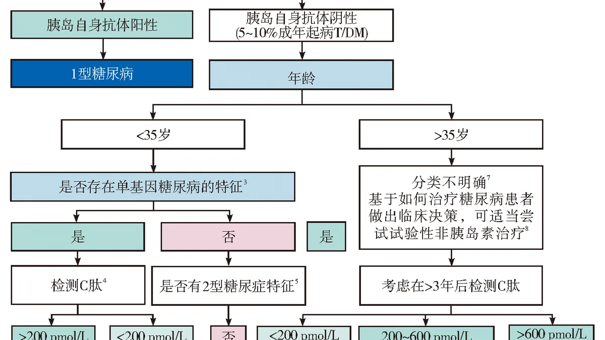非奈利酮与抗排斥药联合使用示意图